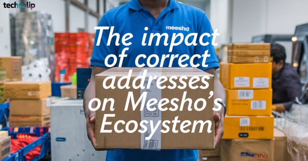 The Impact of Correct Addresses on Meesho's Ecosystem