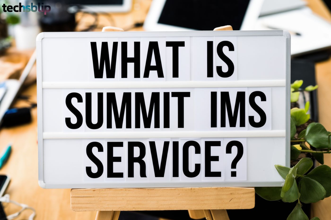 What is Summit IMS Service?