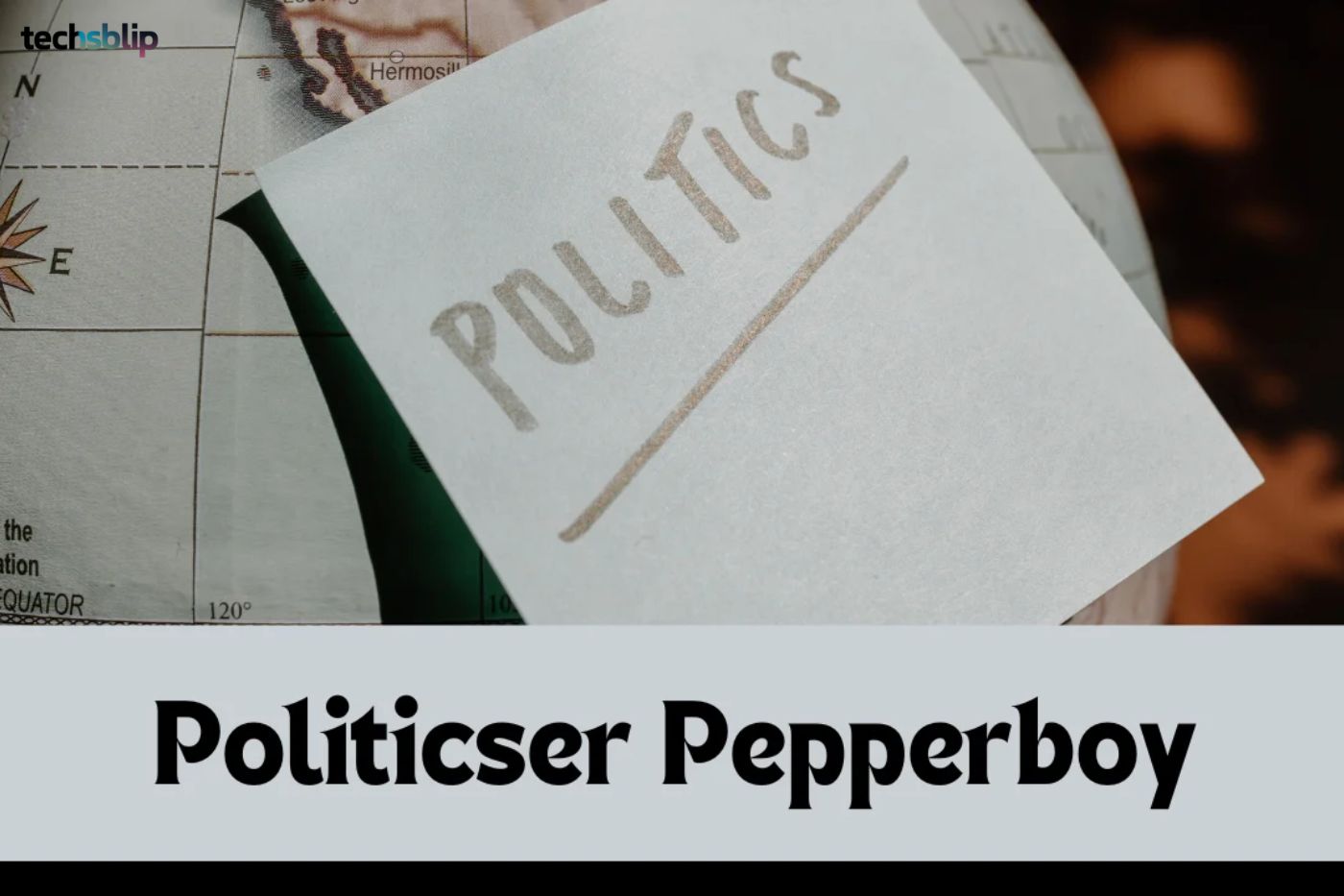 From Meme to Movement: The Evolution of Politicser Pepperboy