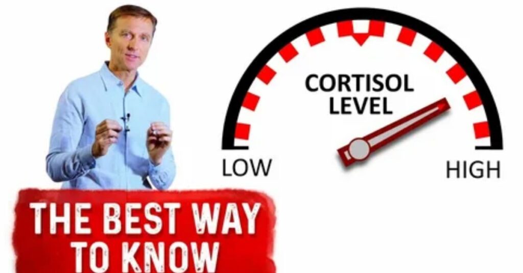 Causes of High Cortisol Levels